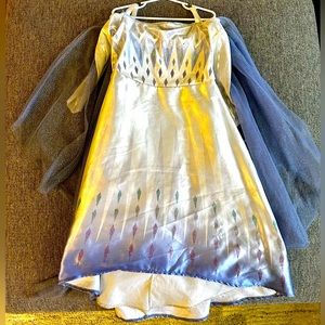 Frozen costume